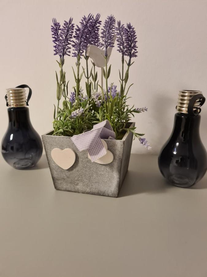 Apartament Nad Klifem W Dziwnowku Dziwnowek Luaran gambar